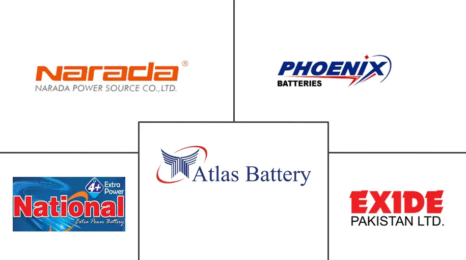巴基斯坦电池市场规模