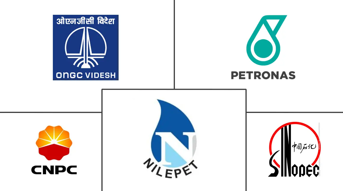 南苏丹石油和天然气市场规模及份额