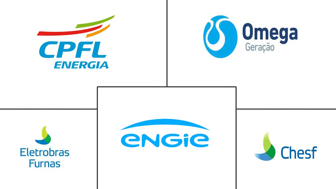 巴西可再生能源市场规模