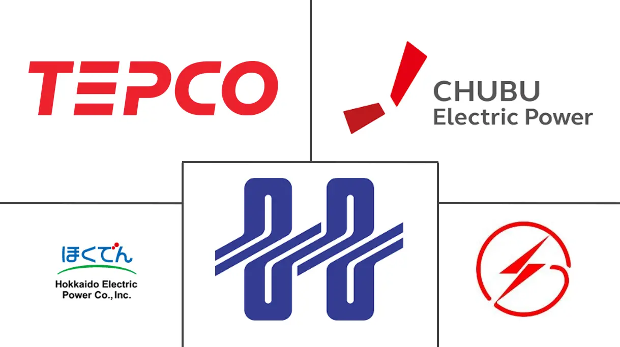 日本电力市场规模