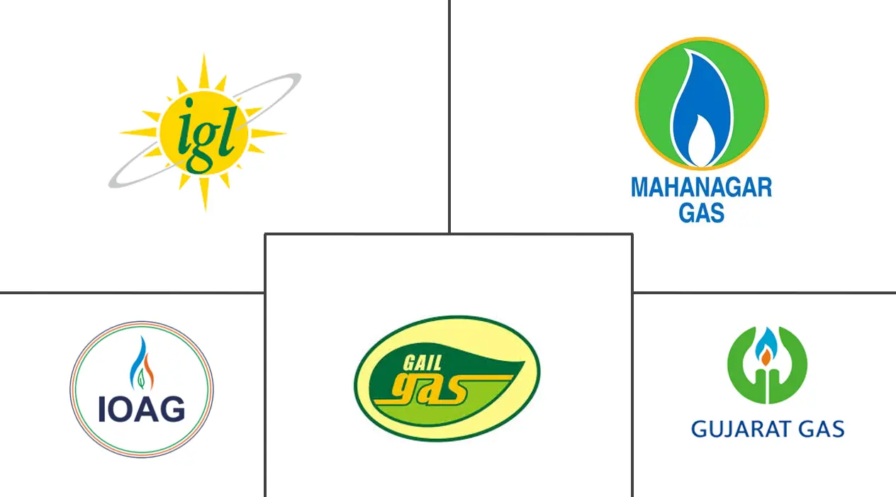 印度城市燃气配送市场规模