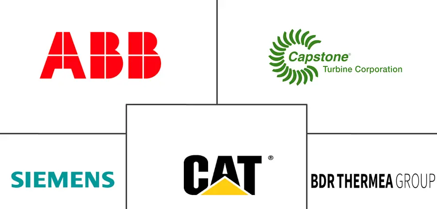 荷兰热电联产市场规模