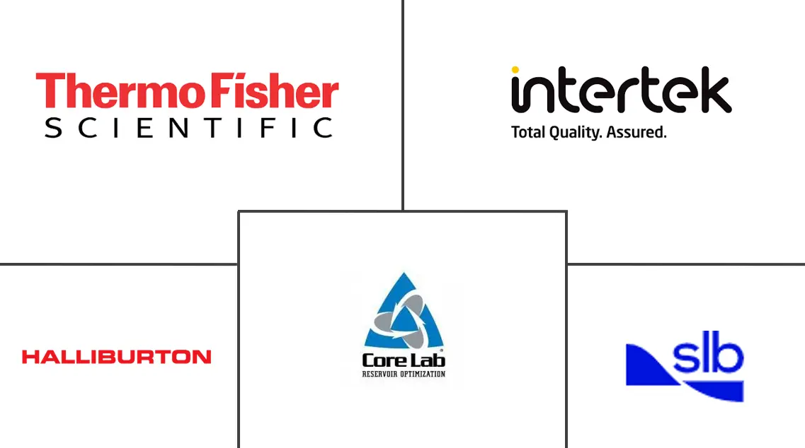 石油和天然气数字岩石分析市场规模