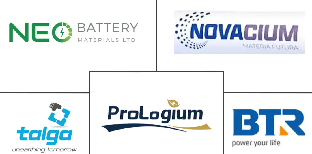 欧洲电动汽车电池负极市场规模