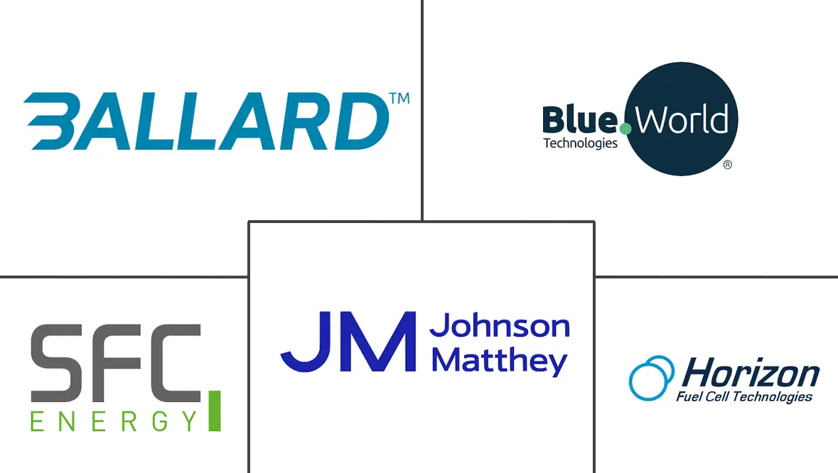 直接甲醇燃料电池市场规模及份额