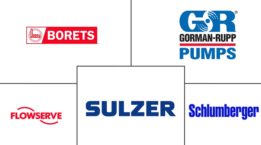 欧洲潜水泵市场规模
