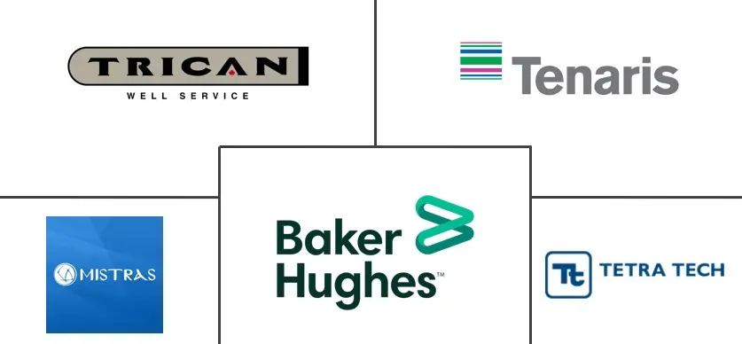 加拿大石油和天然气管道服务市场规模