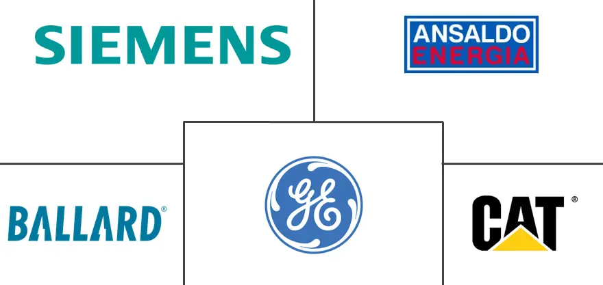 分布式发电市场规模及份额