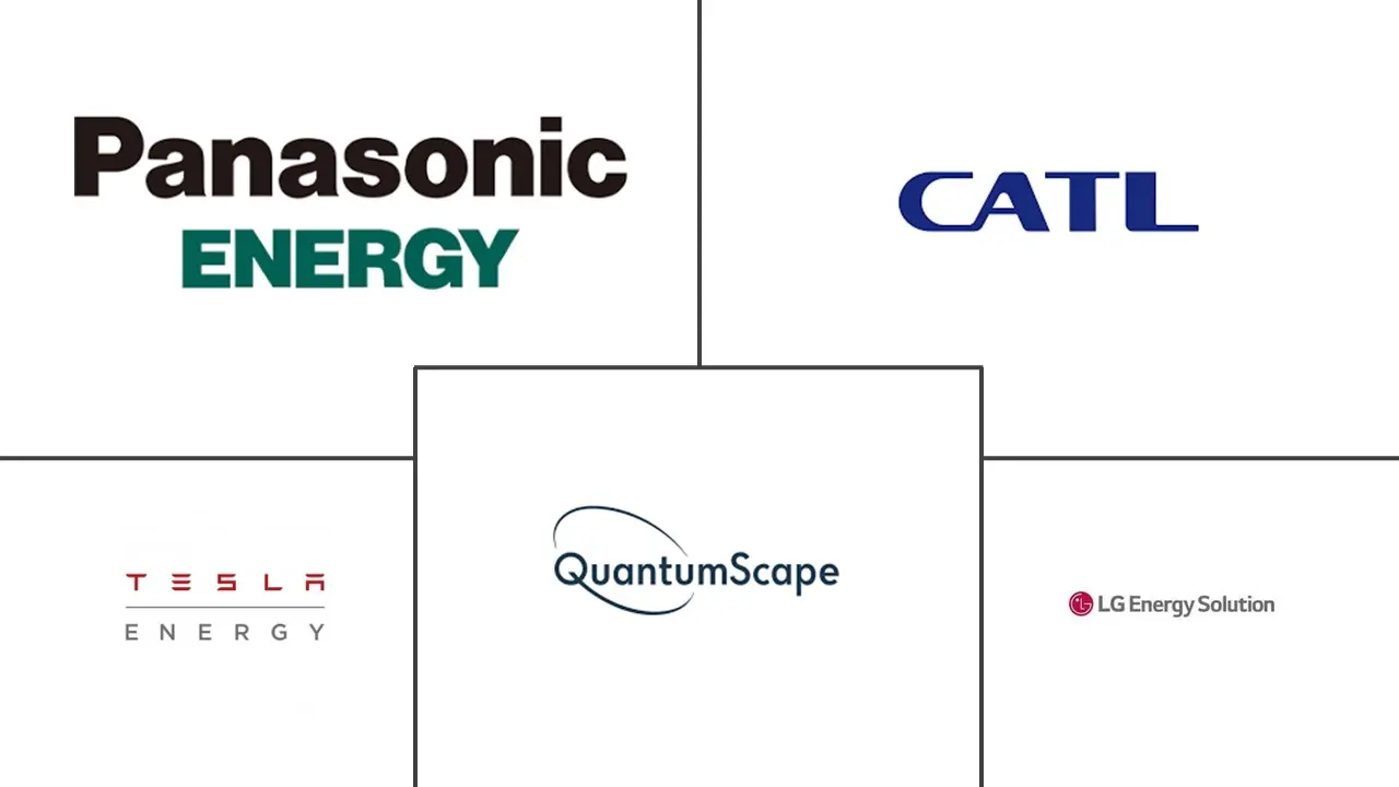 下一代储能系统市场规模和份额