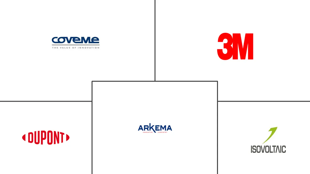 欧洲太阳能背板市场规模