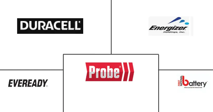 南非电池市场规模