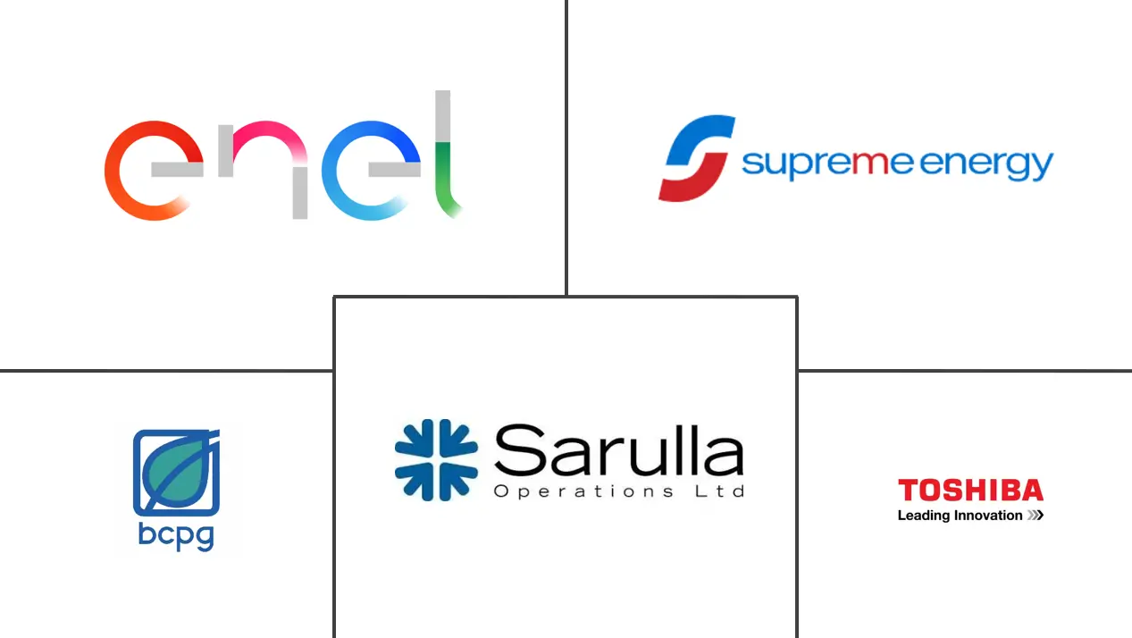 印度尼西亚地热能市场规模