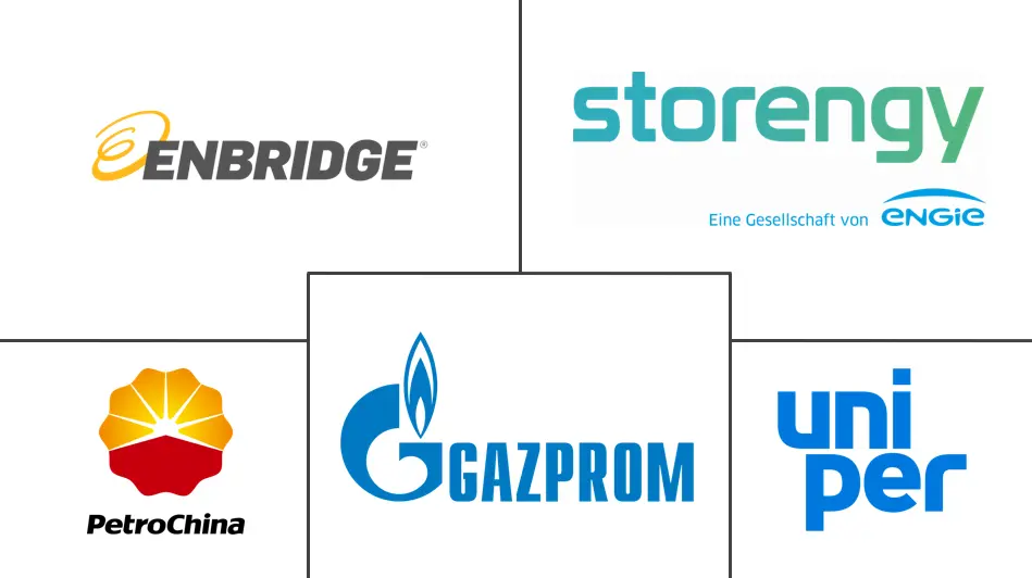地下储气库市场规模及份额
