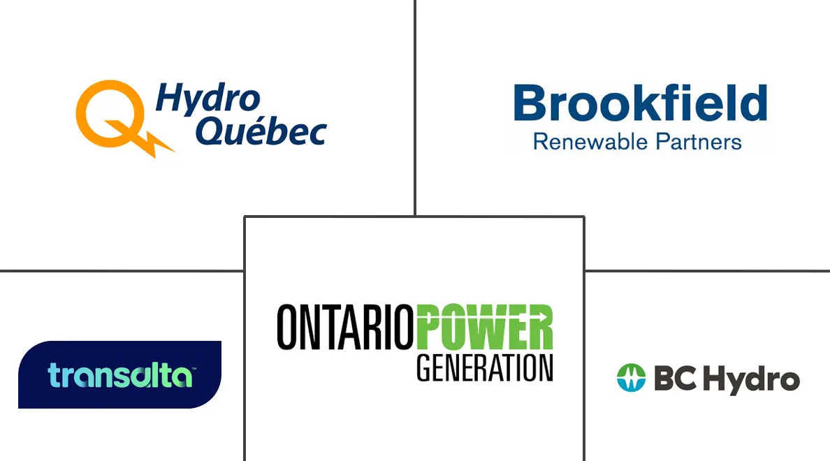 加拿大可再生能源市场规模和份额