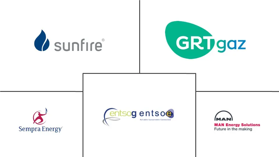 欧洲电改气市场规模