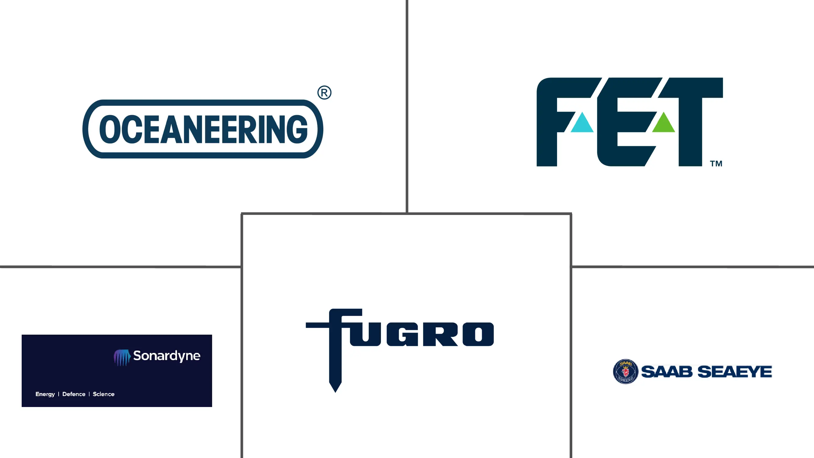 巴西ROV市场规模