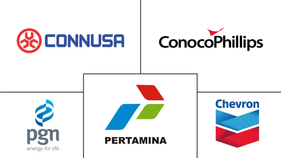 印度尼西亚石油和天然气中游市场规模