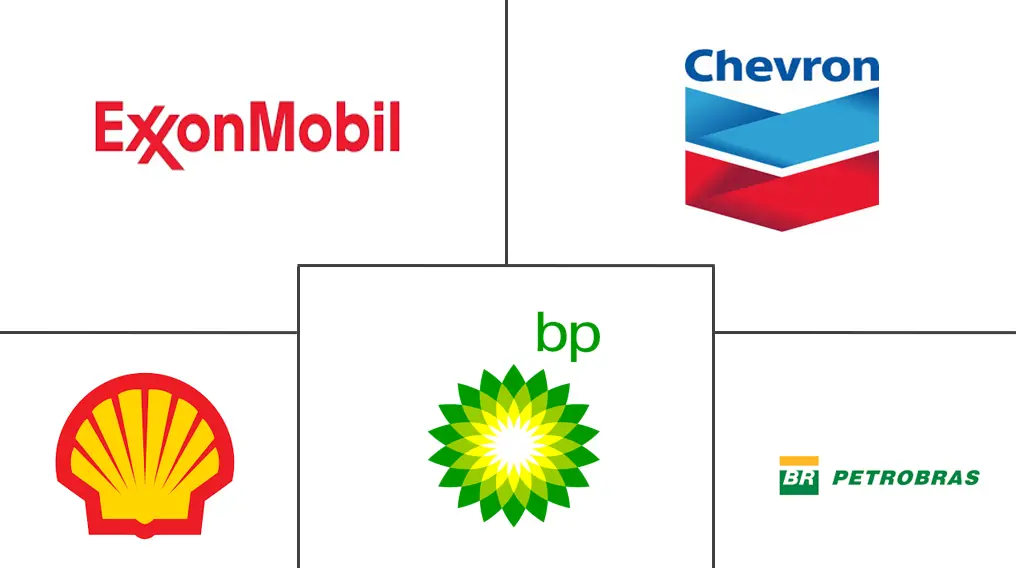 巴西液化天然气市场规模