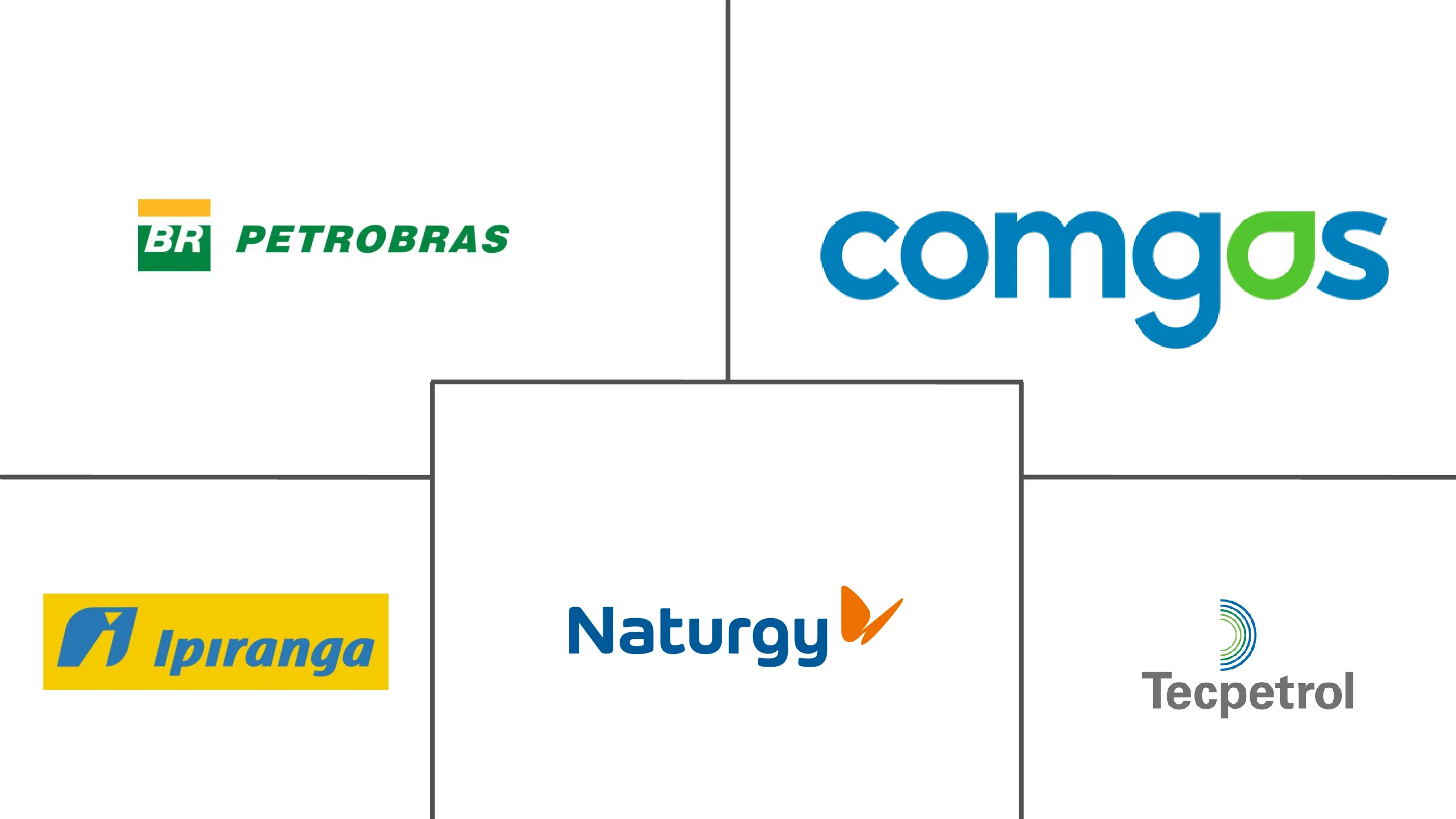 南美城市燃气配送市场规模