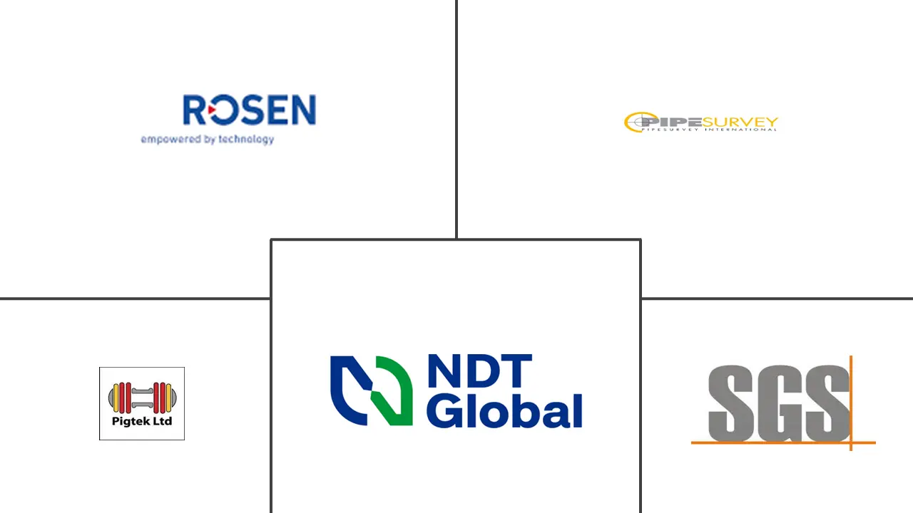 欧洲智能清管市场规模