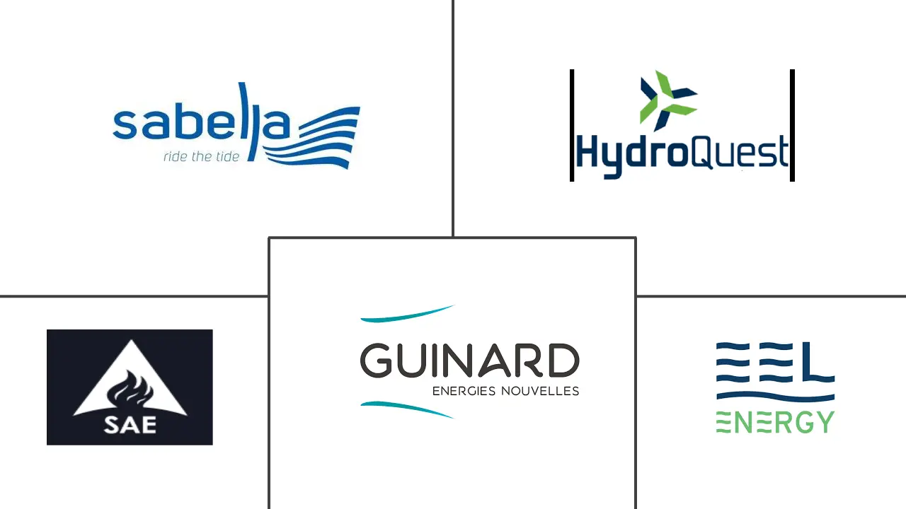 法国潮汐发电市场规模