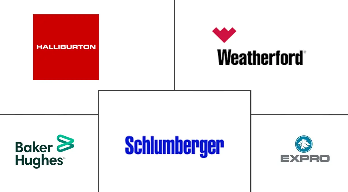 北美有线测井服务市场规模和份额分析