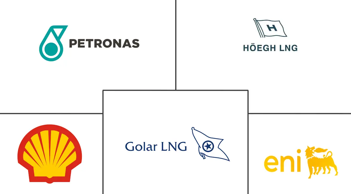 浮式液化天然气市场规模及份额