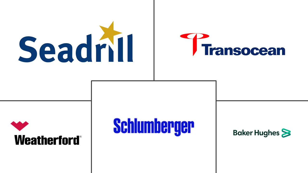 欧洲油田设备租赁服务市场规模和份额分析