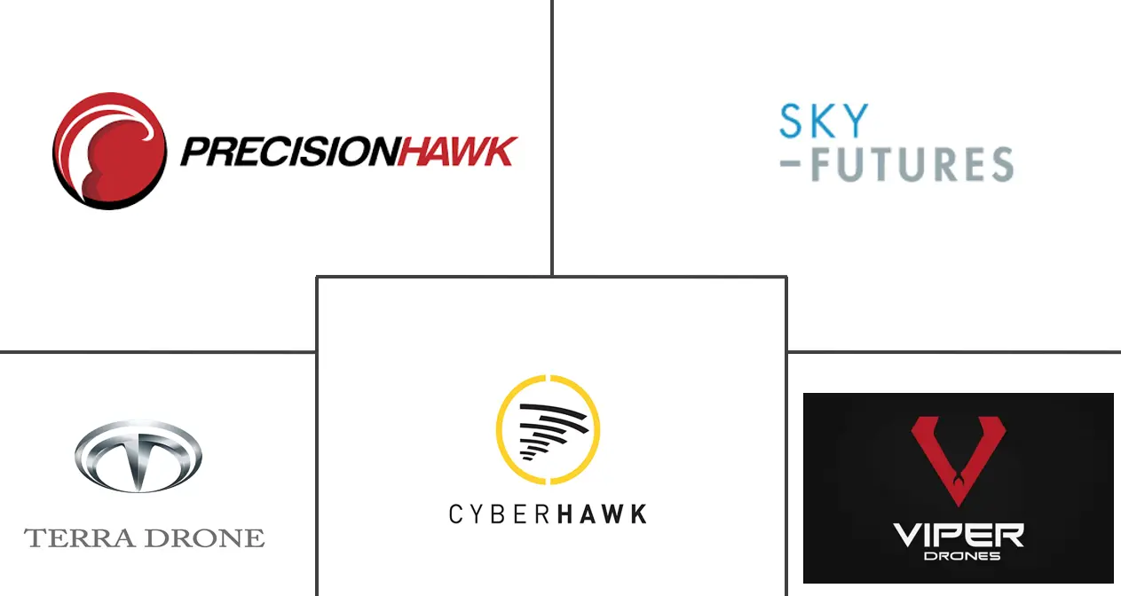 北美石油和天然气无人机市场规模