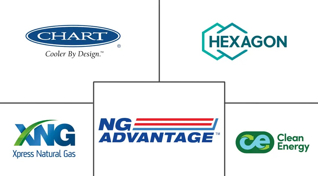 虚拟管道系统市场规模和份额