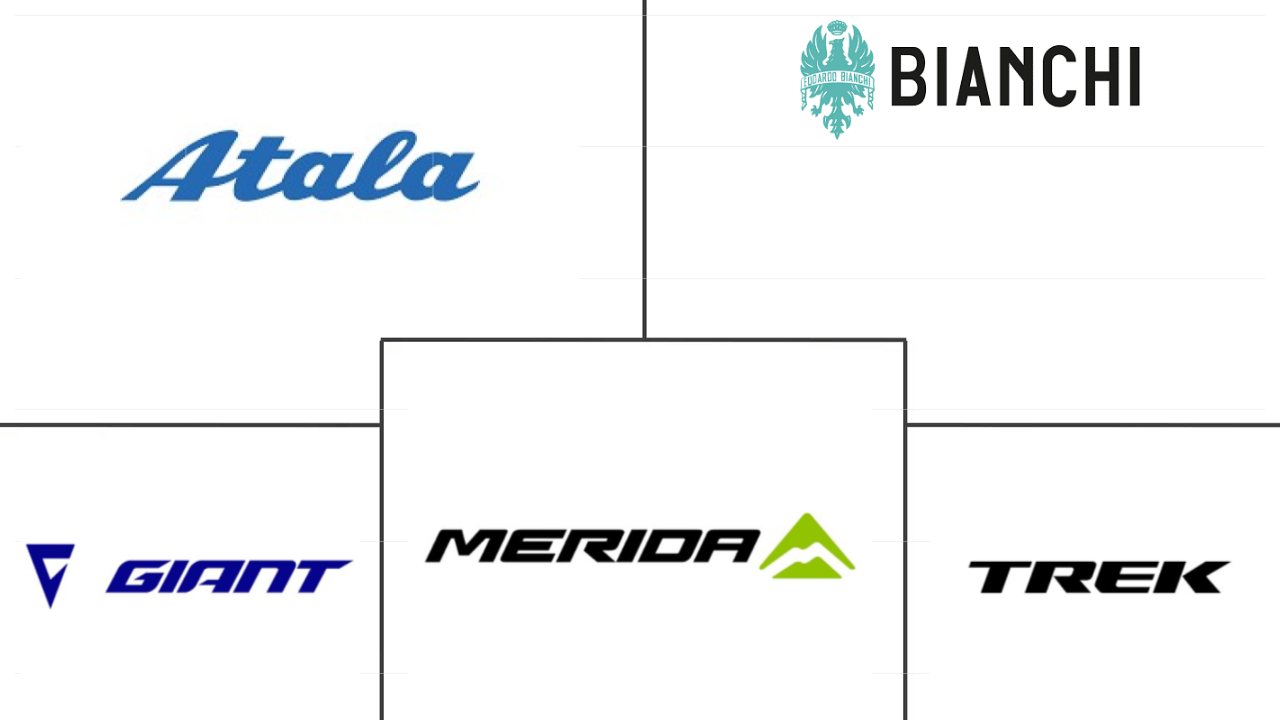 意大利电动自行车市场规模