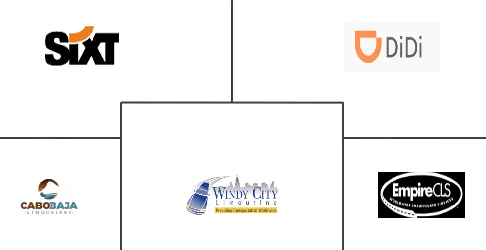 豪华轿车租赁/租赁市场规模