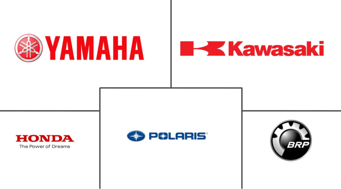 动力运动市场规模和份额