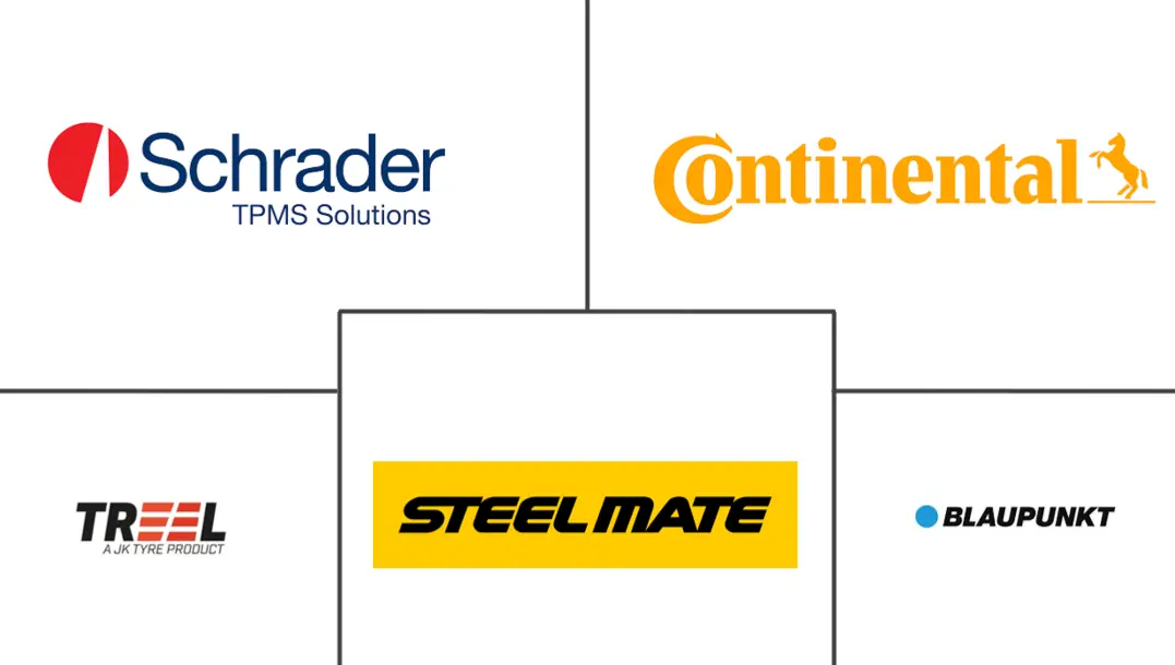 印度售后市场TPMS市场规模及份额