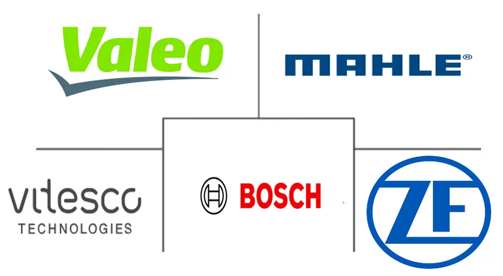 欧洲无磁电桥系统市场规模及份额