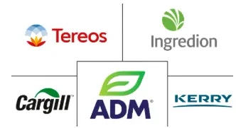 益生元成分市场规模和份额