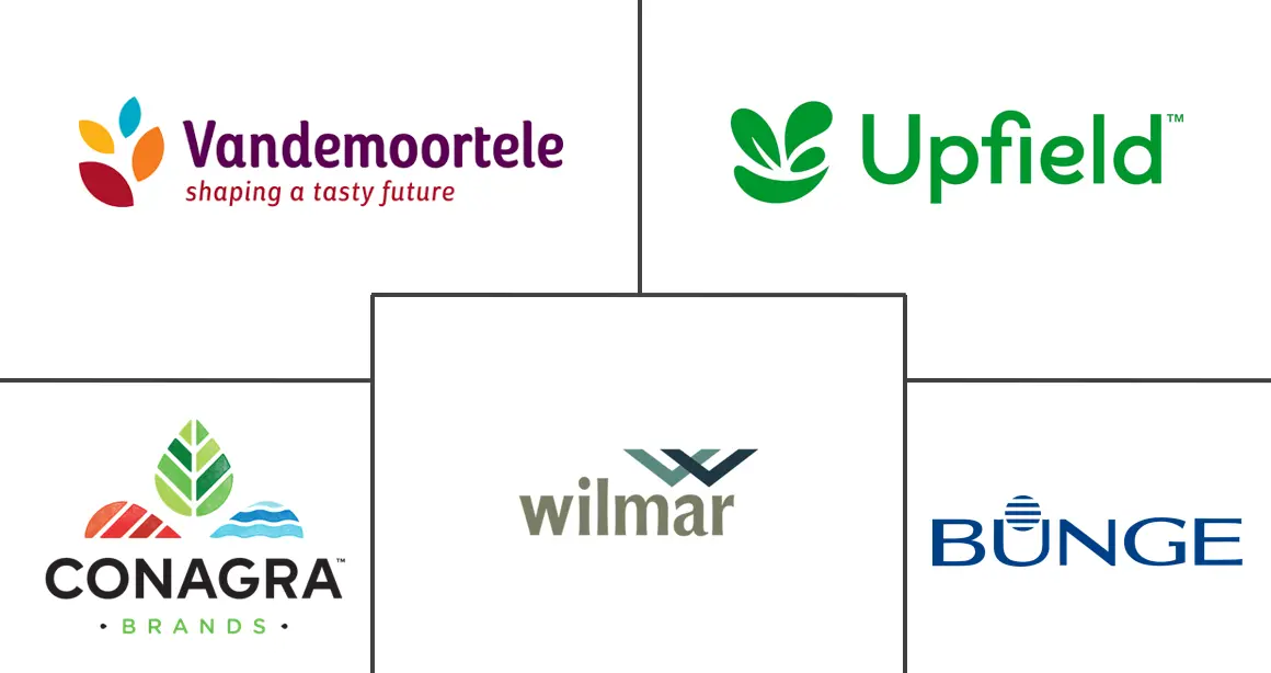 人造黄油市场规模和份额