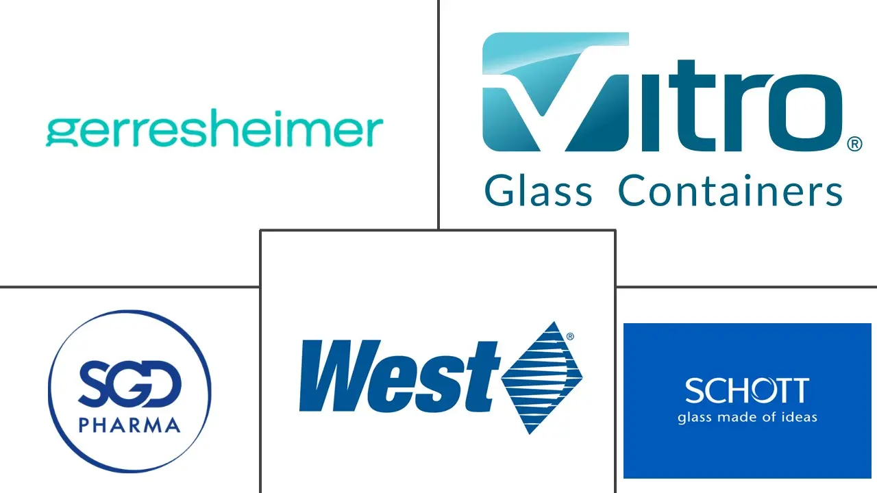 拉丁美洲药用玻璃包装市场规模