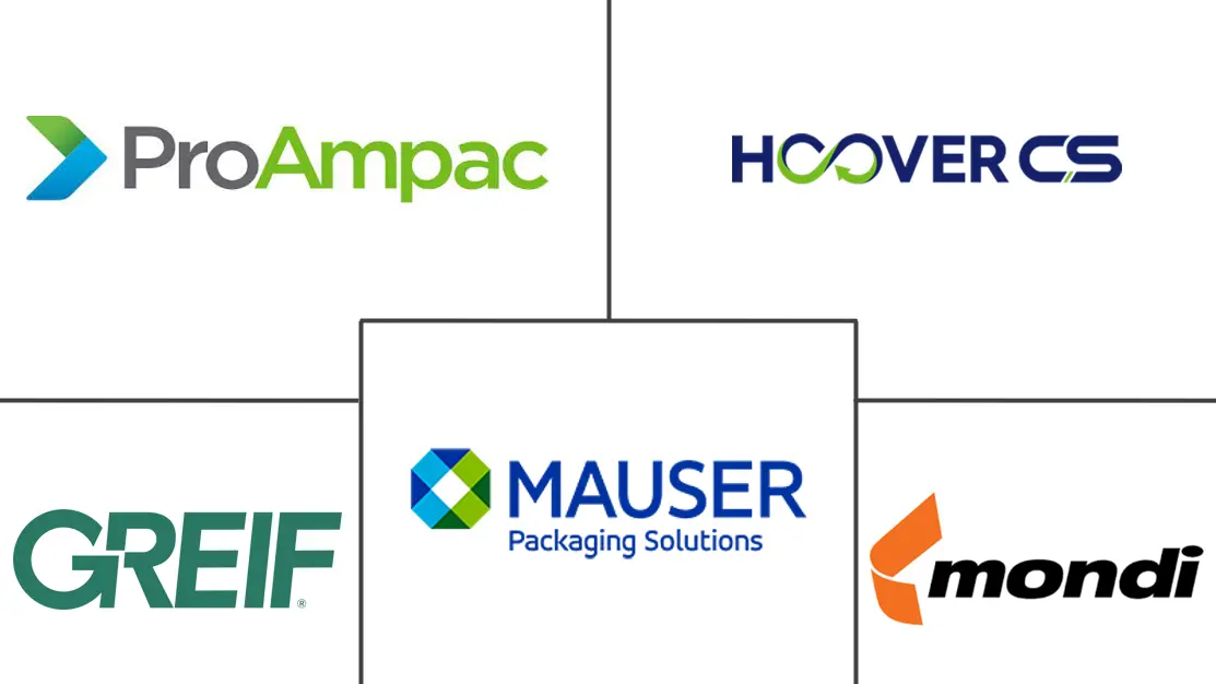 化学包装市场规模