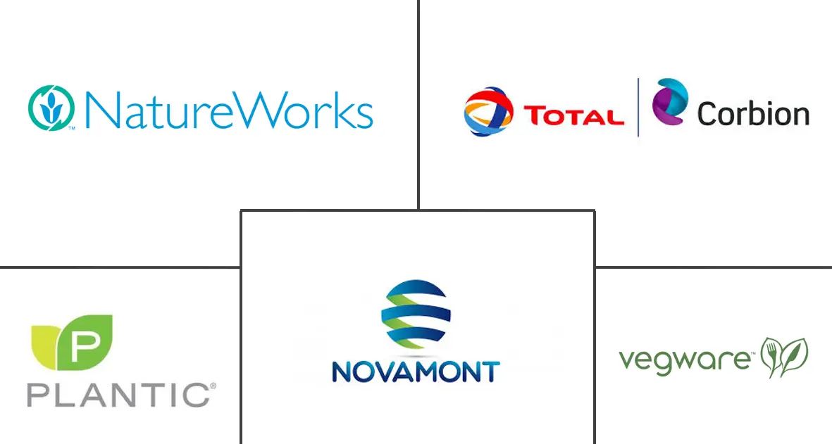 玉米淀粉包装市场规模和份额