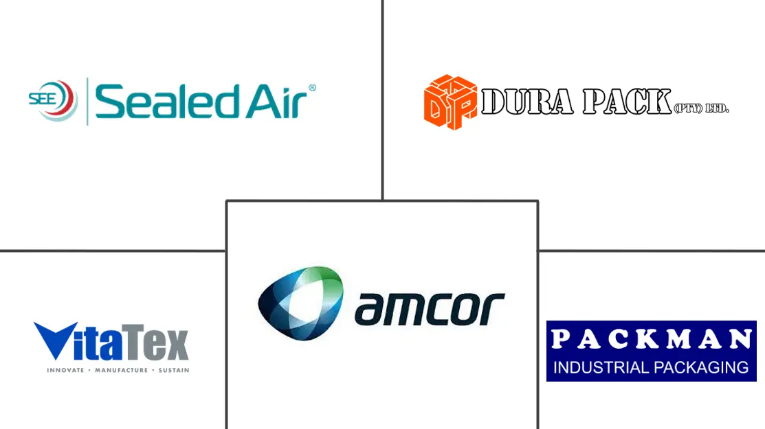 南非防护包装市场规模