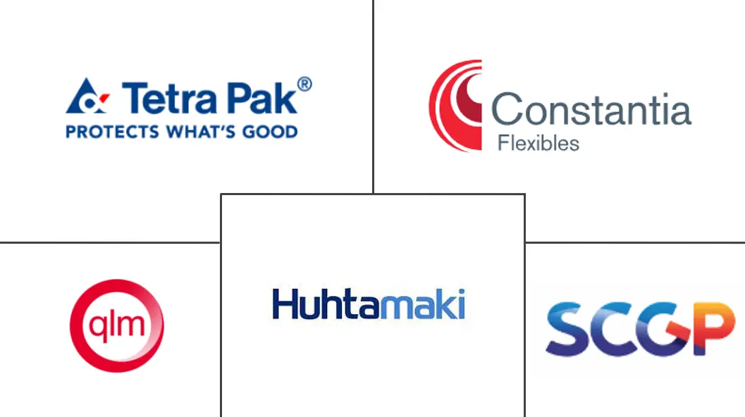 越南袋包装市场规模