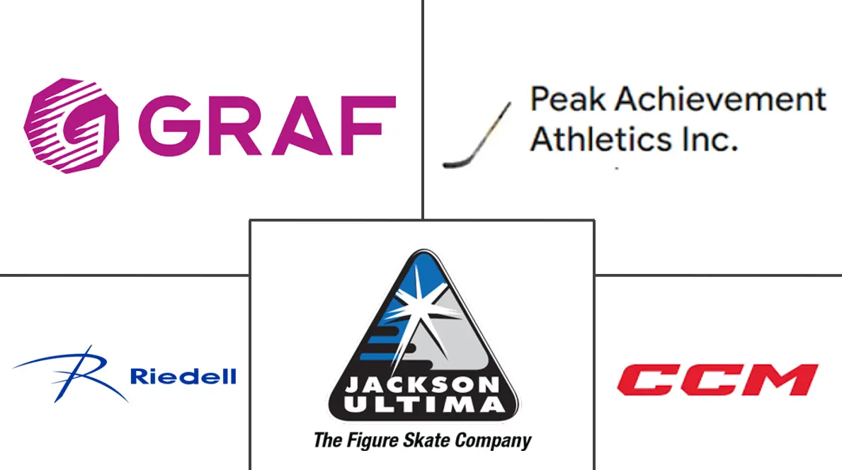 滑冰装备市场规模及份额