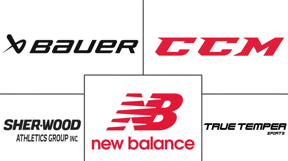 冰球装备市场规模及份额