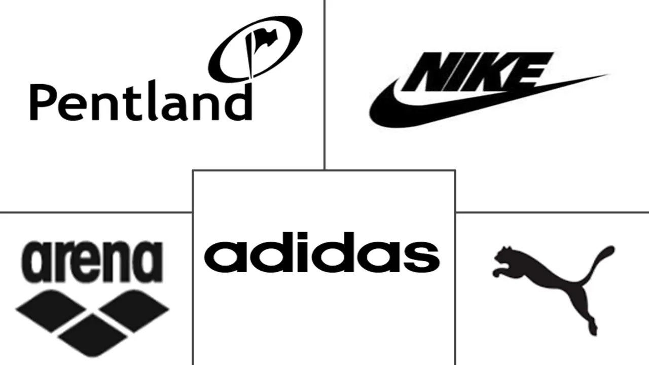 泳装市场规模及份额