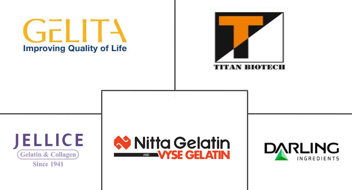 印度胶原蛋白市场规模和份额