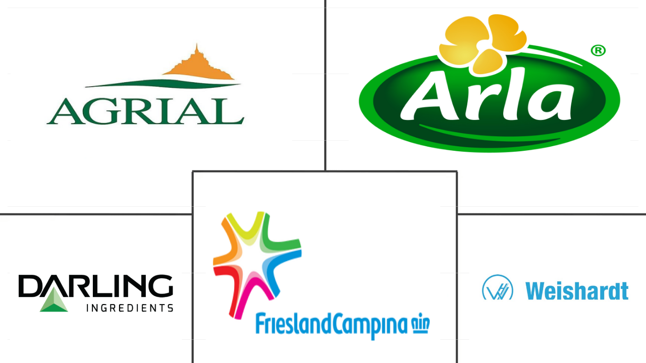 欧洲动物蛋白市场规模