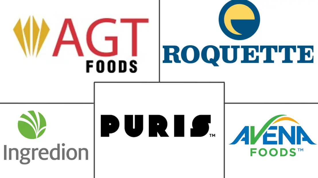 扁豆蛋白市场规模和份额