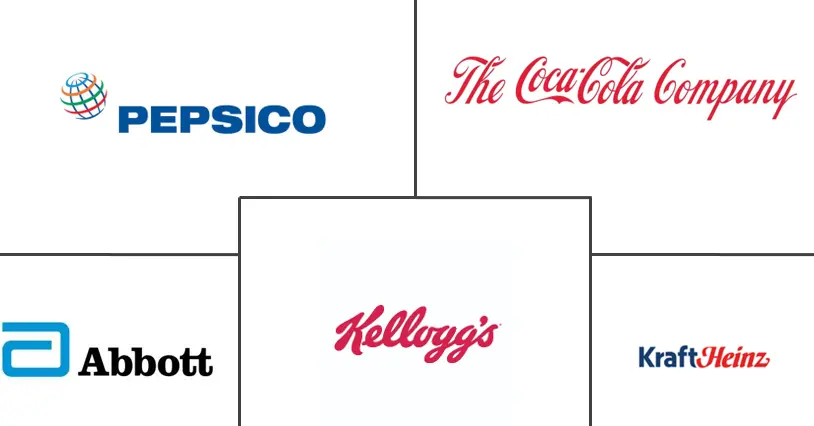 南美洲维生素强化和矿物质丰富的食品和饮料市场规模和份额分析