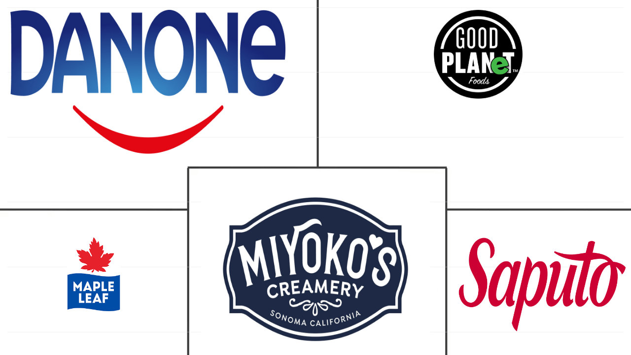 北美非乳制奶酪市场规模